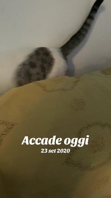 @mayafamily72