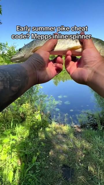 @BRVDDY BASSIN