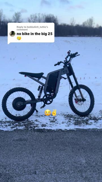 @Theeeepolarbearofficial