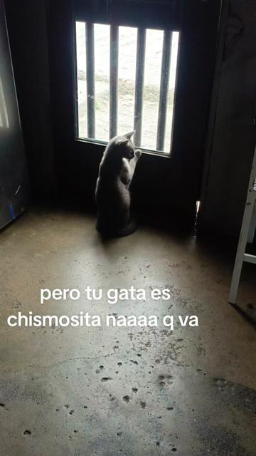 @Tatis Hernandez