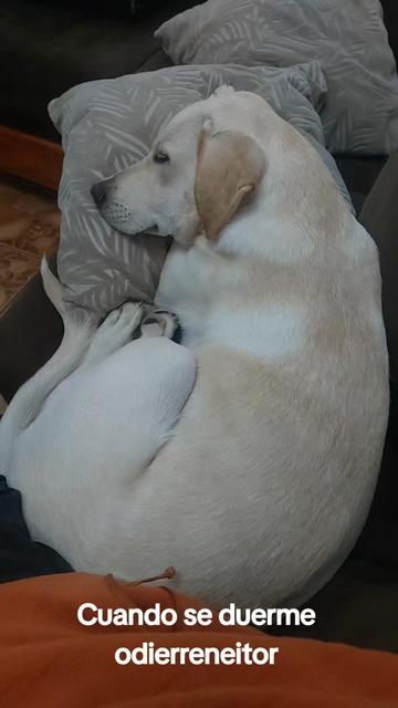 @faabiaan_92