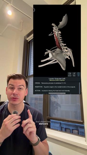 @Dr. Dan, DPT