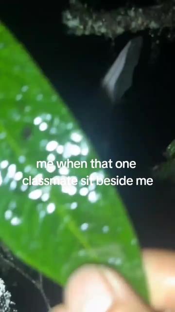 @br̴̨̦͕̝ā̤̓̍͘t̲̂̓ͩ̑