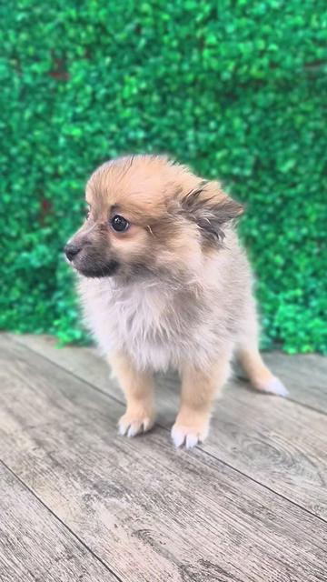 @Petland Oklahoma City