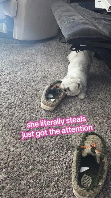 @Kara