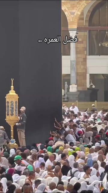 @من المدينة 🇸🇦 Madinah
