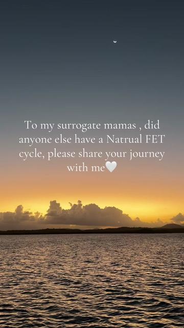 @Reyna Surrogate🌼💉