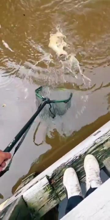 @Iron Claw_Fishing