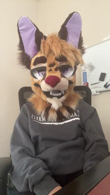 @JudasTheServal