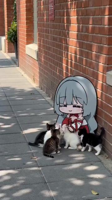 @foxamv