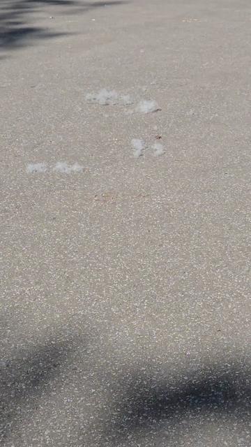 @Angela Rose