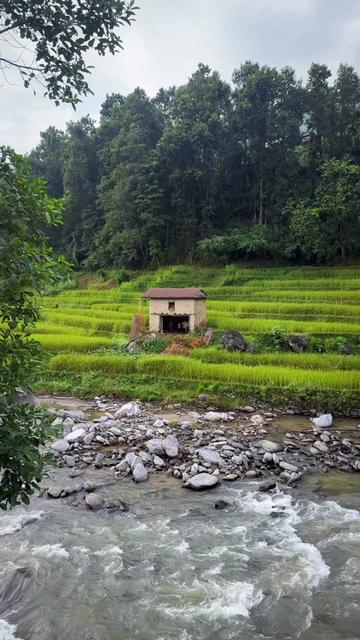 @Sudarshan Neupane