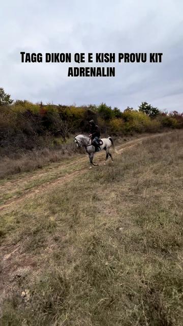 @BERTI RANCH 🐎