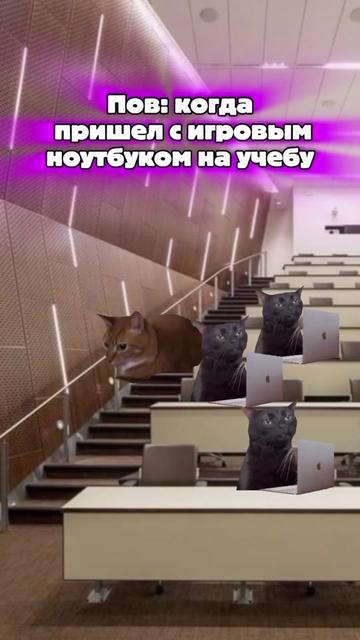 @MisterCat