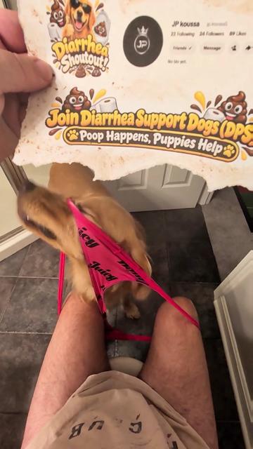 @Diarrhea Support Dog Training