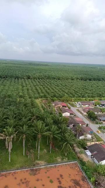 @Azlan tornado