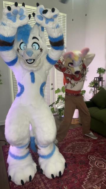 @BlueFoxNova