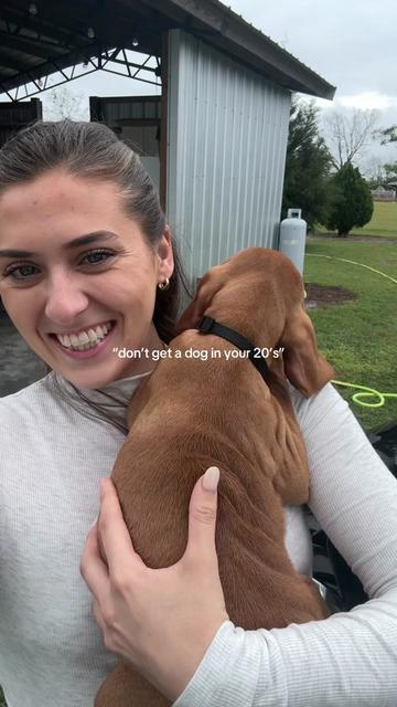 @briston the vizsla ♡