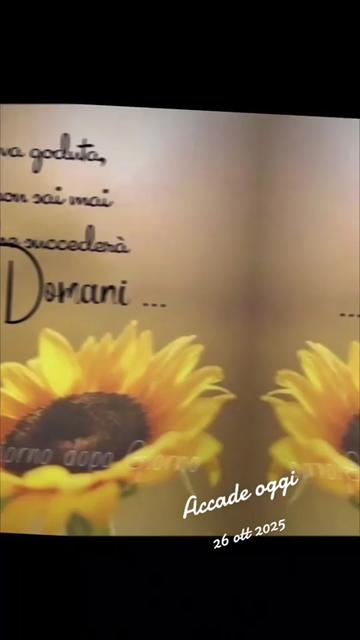 @alessandramarchi726