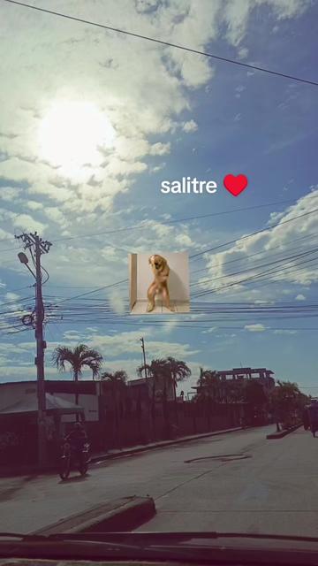 @๐ฆla rompecorazones ๐