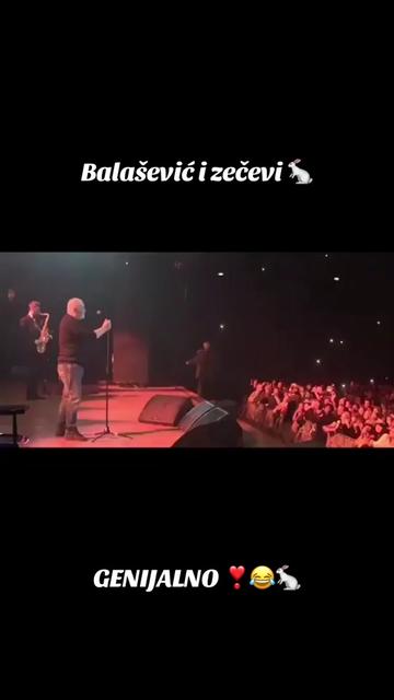 @SREDA🐾
