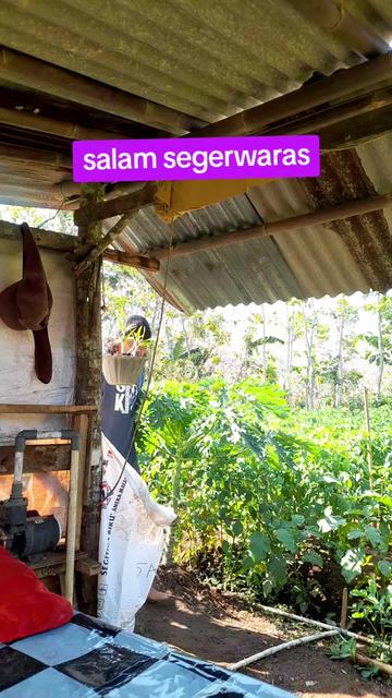 @SABREWALI
