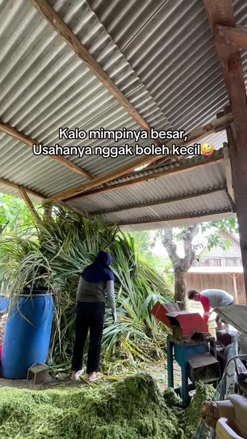 @DhanniaFarm