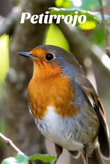 @Fauna Mundial