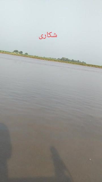 @shahbaz Punjabi 0786