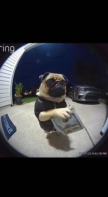 @🐶Banjo🐶🪕
