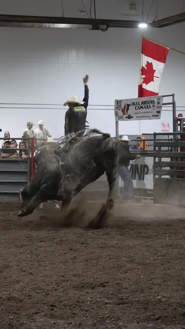 @Lazy P Rodeo
