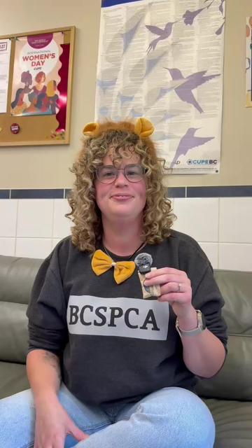 @BC SPCA