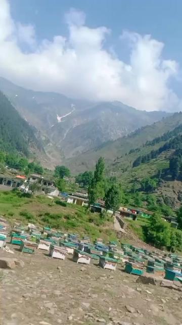@Hostal Waly 💝🏘️