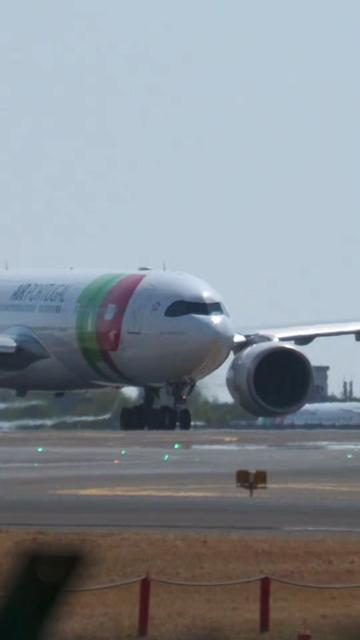 @Lisbon Spotting