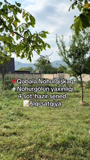 @Qəbələ Əmlak