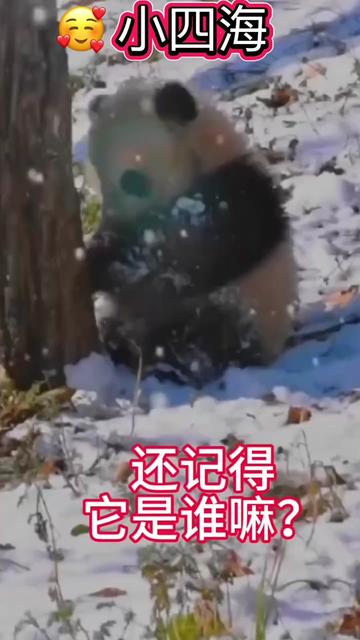 @一生等待