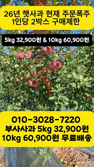 @프루트빌리지