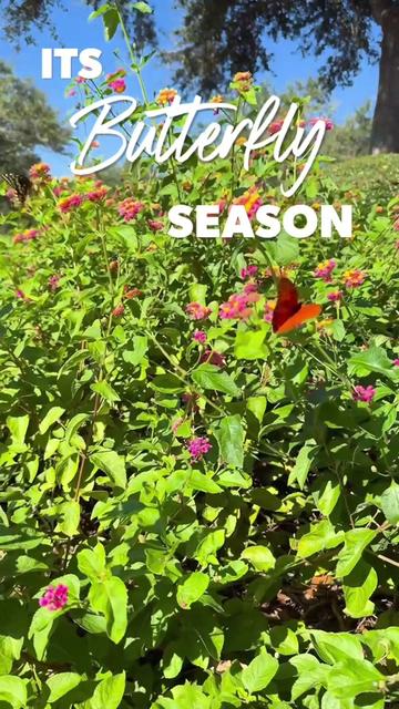 @Coastal Mississippi