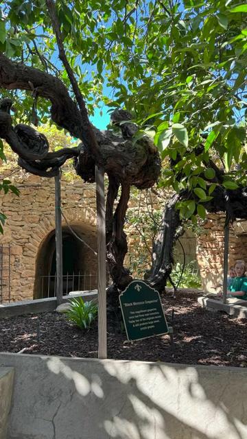 @Uncovering California