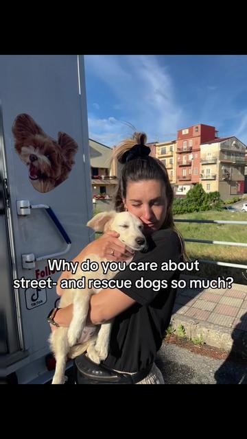 @Pure Paws