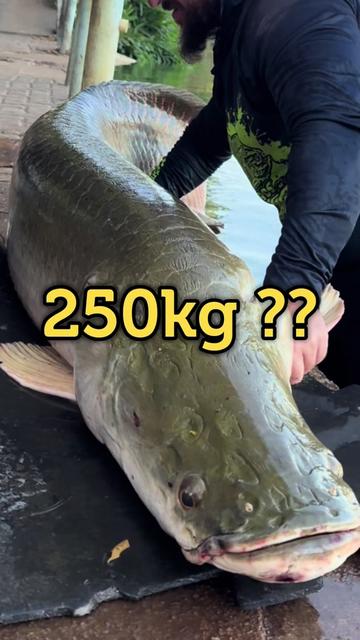@Dimex Pescador