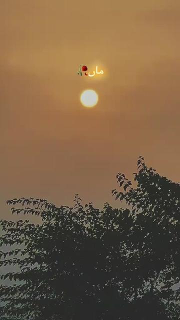 @bahawalnagar15