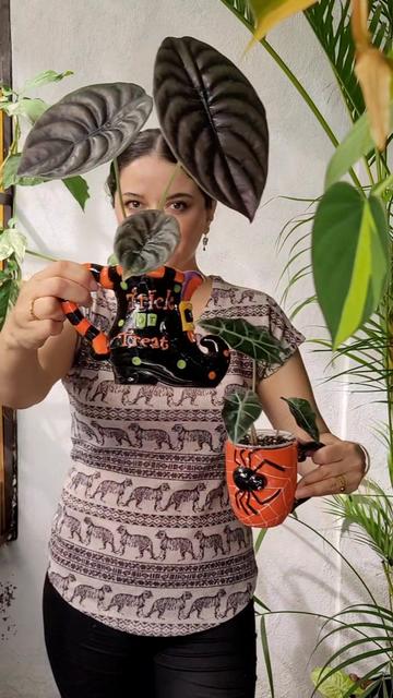 @Plantología🌿