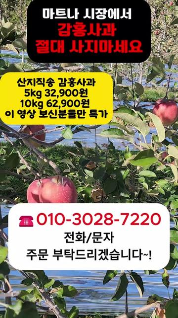 @프루트빌리지