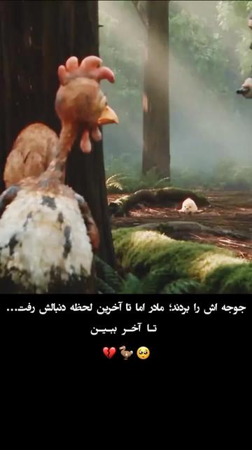 @شاهزاده قابل