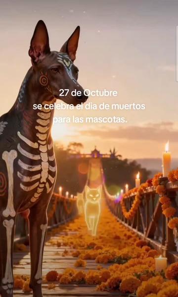 @La voz de Tu Canci&oacute;n