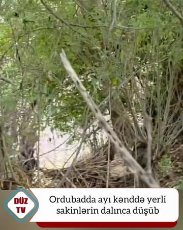 @Duz_tv_news