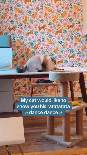 @My Cat Is People 🇨🇦