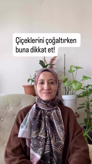 @Toprak Nevalesi