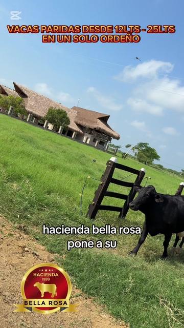 @haciendabellarosa